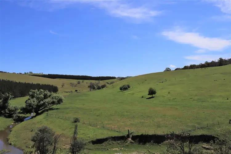 Fourth view of Homely rural property listing, 1976/Corrowong Corrowong Road, Delegate NSW 2633