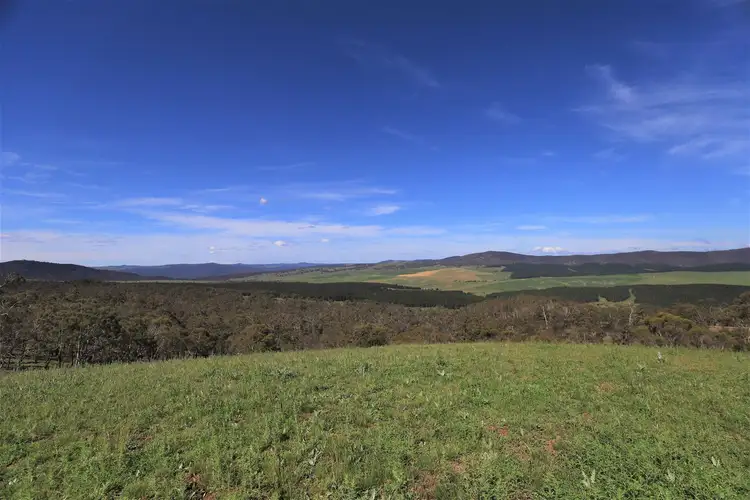 Sixth view of Homely rural property listing, 1976/Corrowong Corrowong Road, Delegate NSW 2633