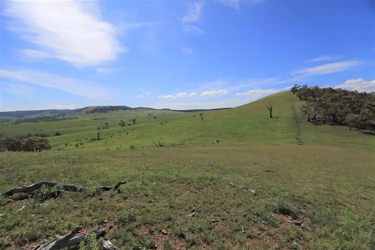 Seventh view of Homely rural property listing, 1976/Corrowong Corrowong Road, Delegate NSW 2633