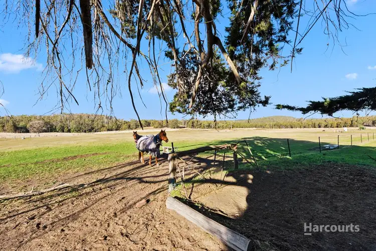 Second view of Homely house listing, 652 Cutting Grass Road, Levendale TAS 7120
