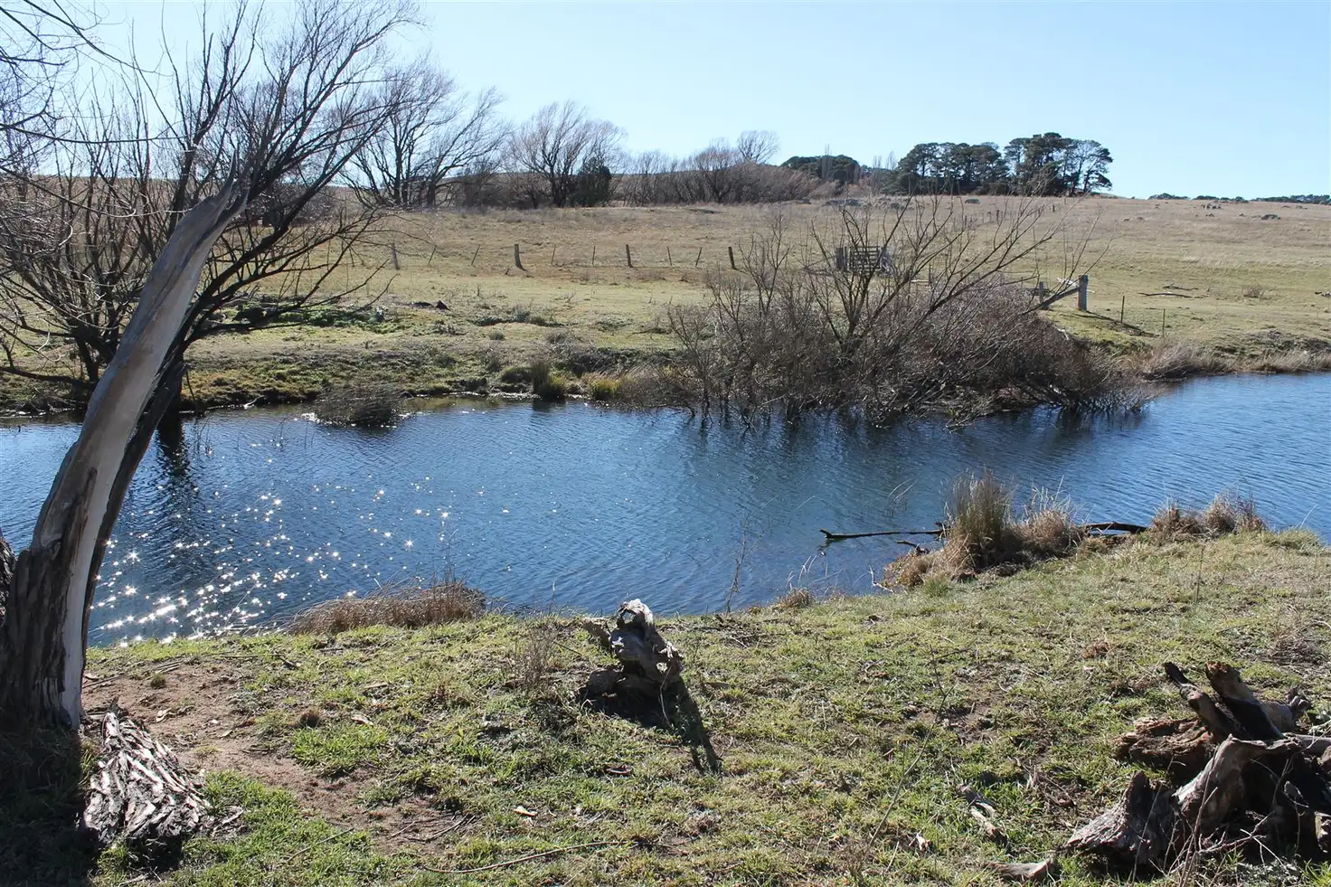 Main view of Homely rural property listing, Green Gully Bombay Road, Braidwood NSW 2622