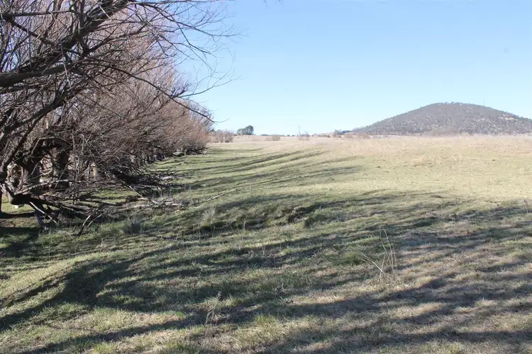 Third view of Homely rural property listing, Green Gully Bombay Road, Braidwood NSW 2622
