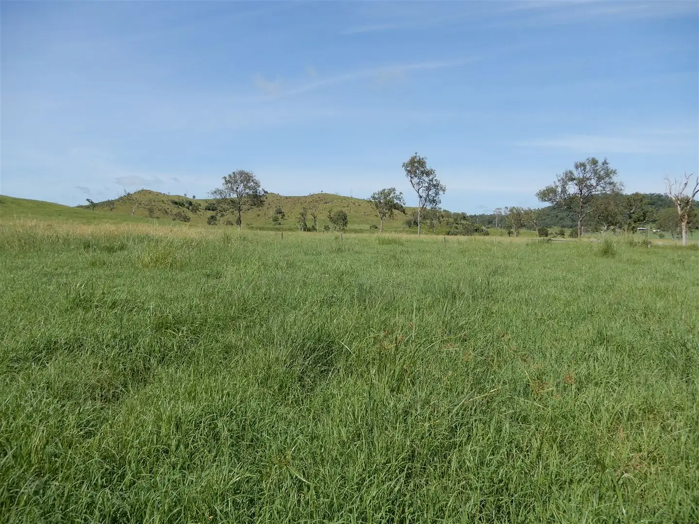 Main view of Homely rural property listing, Address available on request