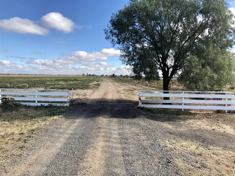 Main view of Homely rural property listing, 240 Back Gular Road, Coonamble NSW 2829