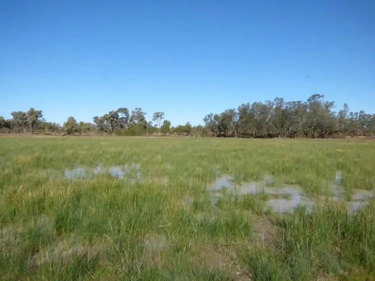 Second view of Homely rural property listing, . Myroolia - Part Romani, Bourke NSW 2840