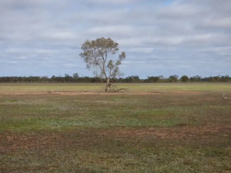 Third view of Homely rural property listing, . Myroolia - Part Romani, Bourke NSW 2840