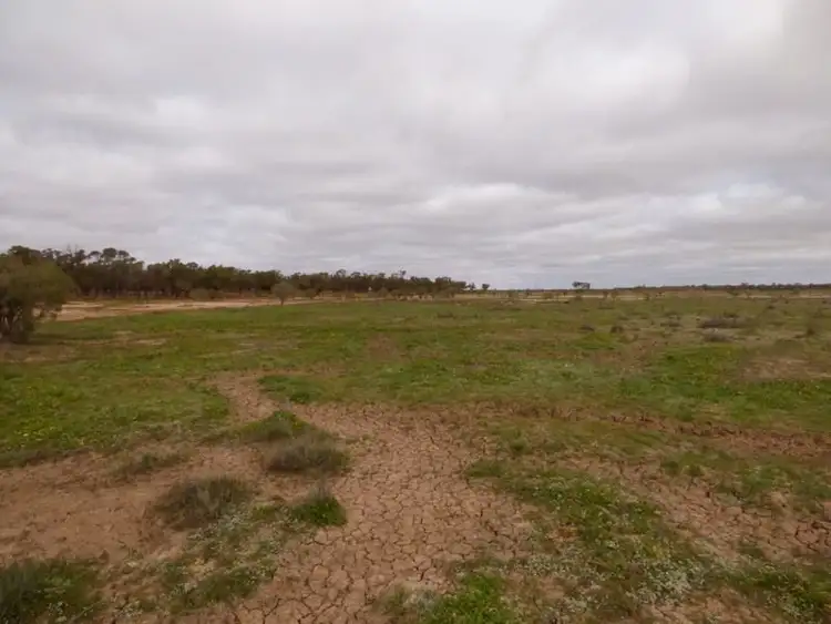 Fourth view of Homely rural property listing, . Myroolia - Part Romani, Bourke NSW 2840