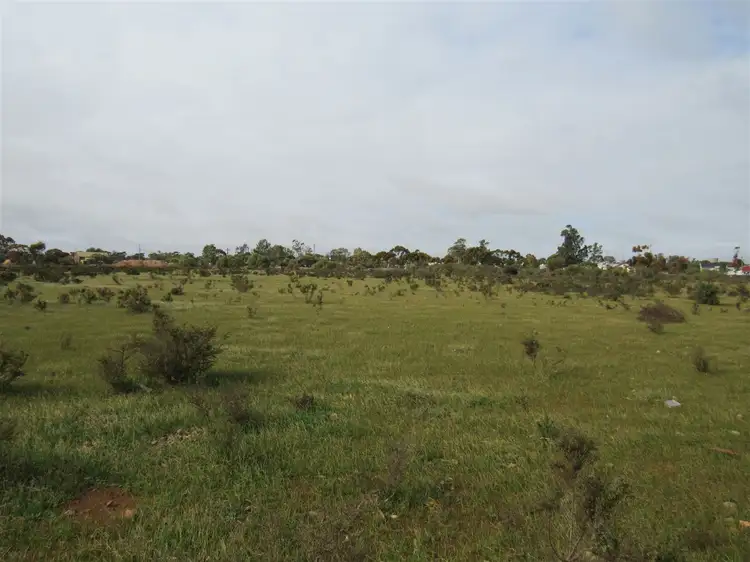 Lot 115 Telford Avenue, Peterborough SA 5422