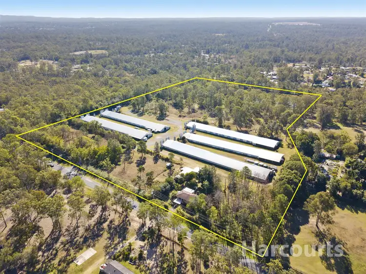 Main view of Homely rural property listing, 257-285 Scott Lane, North Maclean QLD 4280