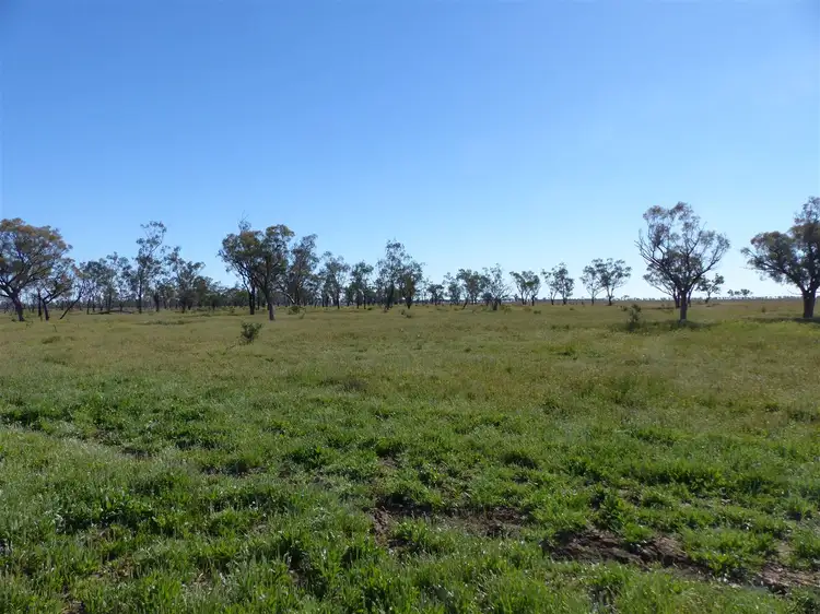. 'Victo', Cunnamulla QLD 4490