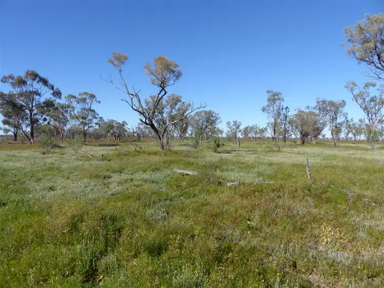 Seventh view of Homely rural property listing, . 'Victo', Cunnamulla QLD 4490