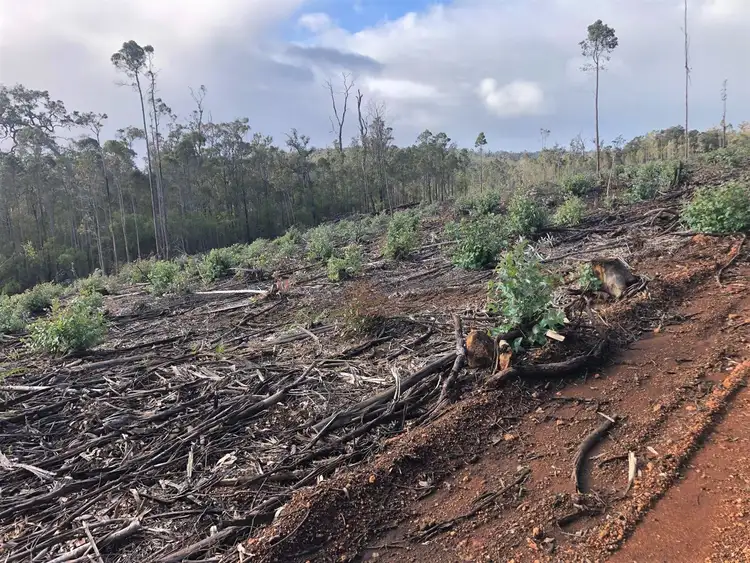 Second view of Homely rural property listing, ' Western Wild Wilderness ', Manjimup WA 6258
