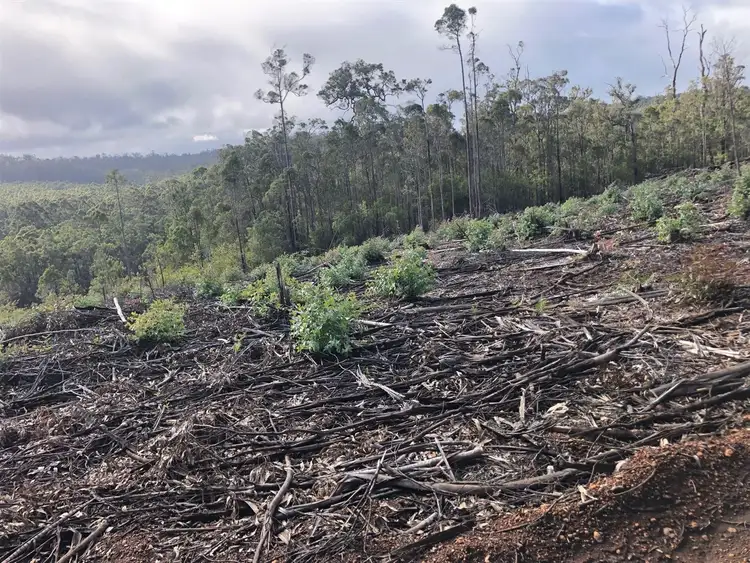 Third view of Homely rural property listing, ' Western Wild Wilderness ', Manjimup WA 6258