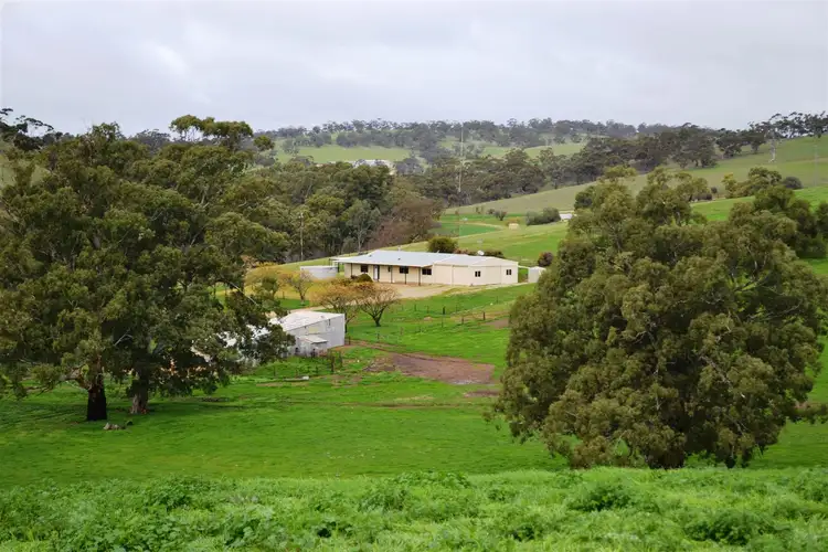 Third view of Homely rural property listing, 95 Skillogalee Creek Road, Watervale SA 5452