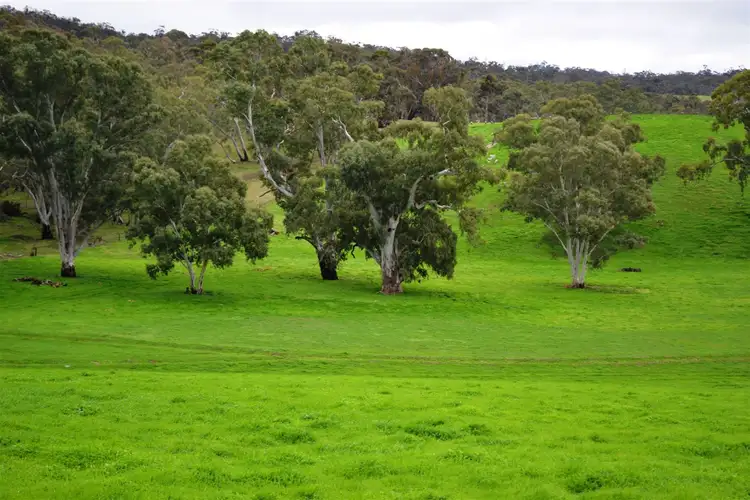 Fourth view of Homely rural property listing, 95 Skillogalee Creek Road, Watervale SA 5452