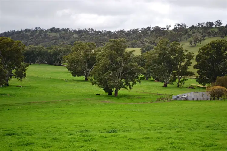 Fifth view of Homely rural property listing, 95 Skillogalee Creek Road, Watervale SA 5452