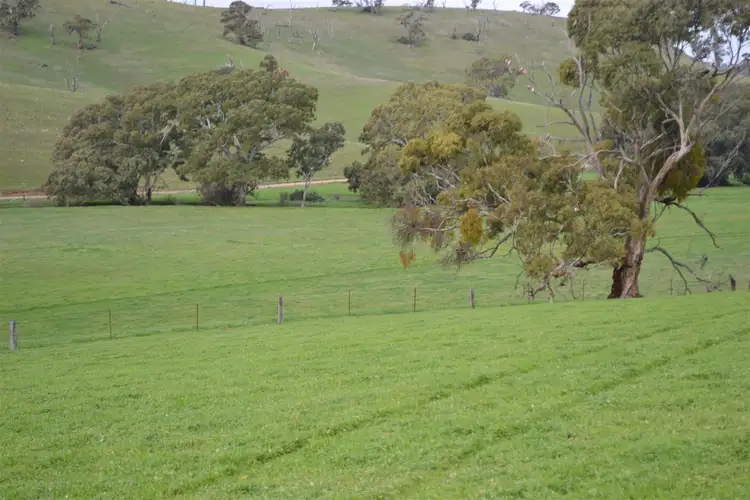 Sixth view of Homely rural property listing, 95 Skillogalee Creek Road, Watervale SA 5452