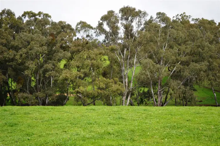 Seventh view of Homely rural property listing, 95 Skillogalee Creek Road, Watervale SA 5452