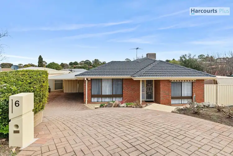 Main view of Homely house listing, 6 Cassab Court, Trott Park SA 5158
