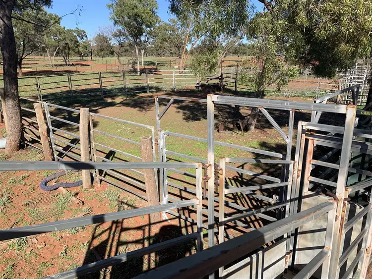 Fifth view of Homely rural property listing, Address available on request
