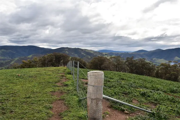 Third view of Homely rural property listing, 570 Bald Hills Creek Road, Swifts Creek VIC 3896