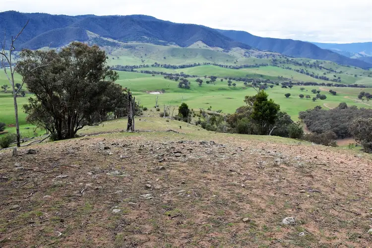 Fifth view of Homely rural property listing, 570 Bald Hills Creek Road, Swifts Creek VIC 3896