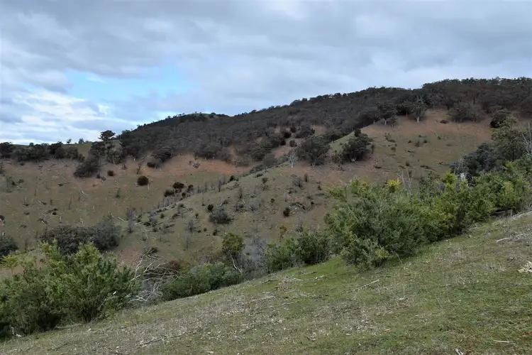 Sixth view of Homely rural property listing, 570 Bald Hills Creek Road, Swifts Creek VIC 3896