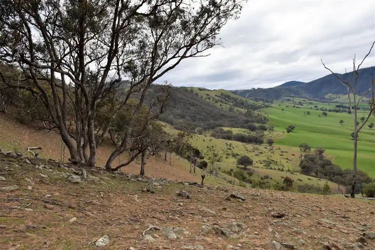 Seventh view of Homely rural property listing, 570 Bald Hills Creek Road, Swifts Creek VIC 3896