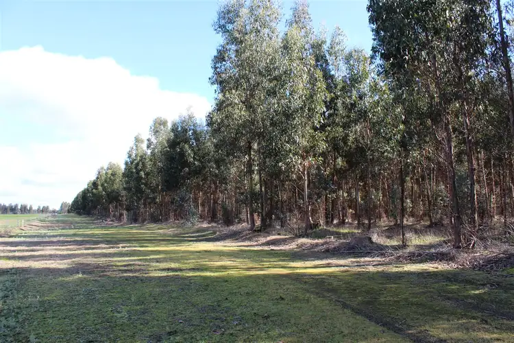 Main view of Homely rural property listing, Lot 12 Old Coach Road, Narrikup WA 6326