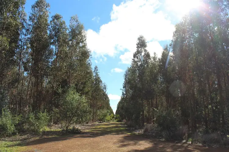 Second view of Homely rural property listing, Lot 12 Old Coach Road, Narrikup WA 6326