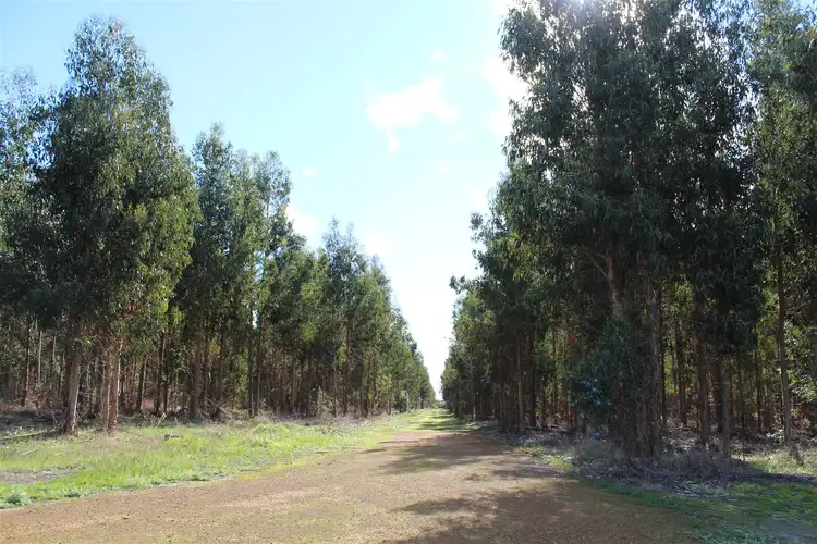 Fourth view of Homely rural property listing, Lot 12 Old Coach Road, Narrikup WA 6326