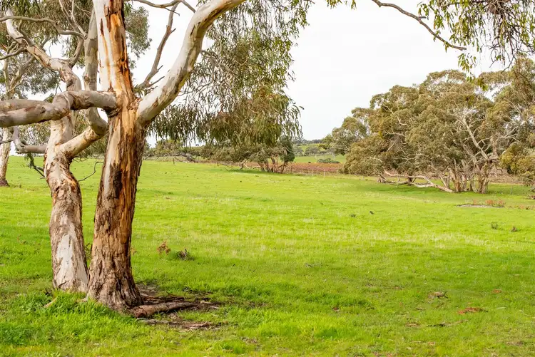 Second view of Homely rural property listing, 533 & 551 Signal Flat Road, Ashbourne SA 5157