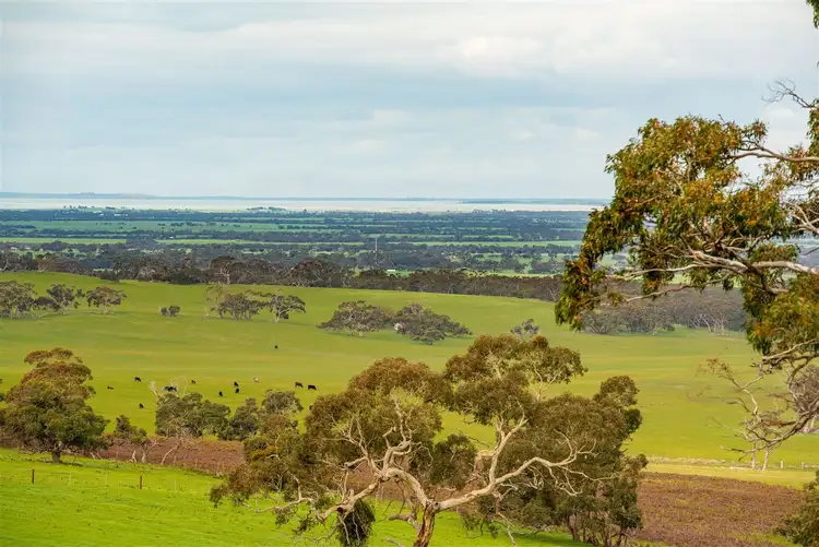 Third view of Homely rural property listing, 533 & 551 Signal Flat Road, Ashbourne SA 5157