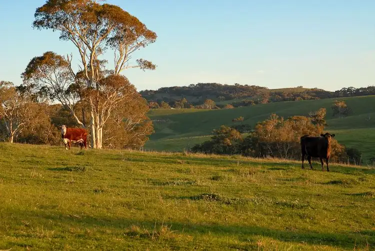 Main view of Homely rural property listing, Lot 5 Mayfield Road, Inman Valley SA 5211