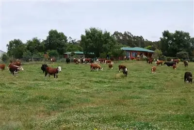 Second view of Homely house listing, 1023 Bridgenorth Road, Bridgenorth TAS 7277