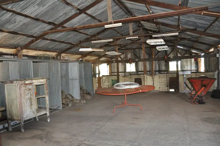 Sixth view of Homely rural property listing, 1491 Cooba Bulga Road, "Warrahdonga", Cassilis NSW 2329