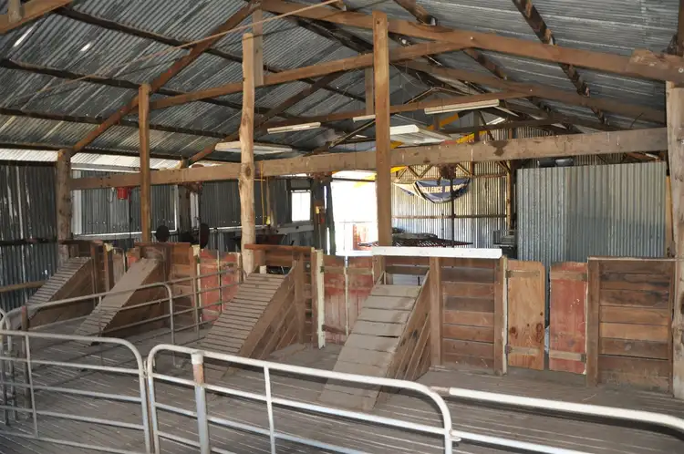 Seventh view of Homely rural property listing, 1491 Cooba Bulga Road, "Warrahdonga", Cassilis NSW 2329