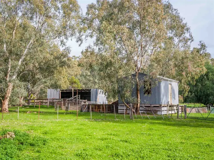 Second view of Homely rural property listing, 338 Halsall Lane, Creightons Creek VIC 3666