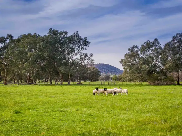 Third view of Homely rural property listing, 338 Halsall Lane, Creightons Creek VIC 3666