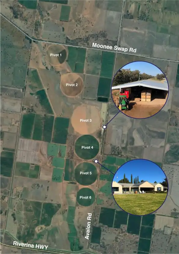 Third view of Homely rural property listing, "Pinegatta" Avalon Rd, Deniliquin NSW 2710
