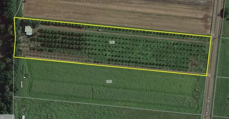293 Hodel Road, Giru QLD 4809
