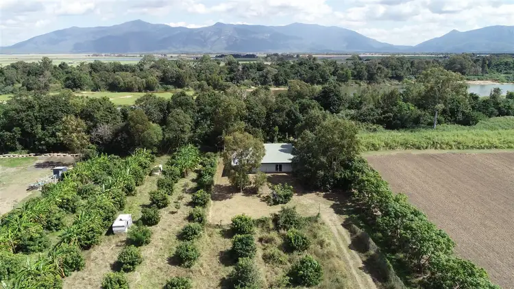 Third view of Homely rural property listing, 293 Hodel Road, Giru QLD 4809
