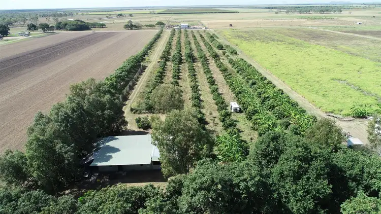 Fourth view of Homely rural property listing, 293 Hodel Road, Giru QLD 4809