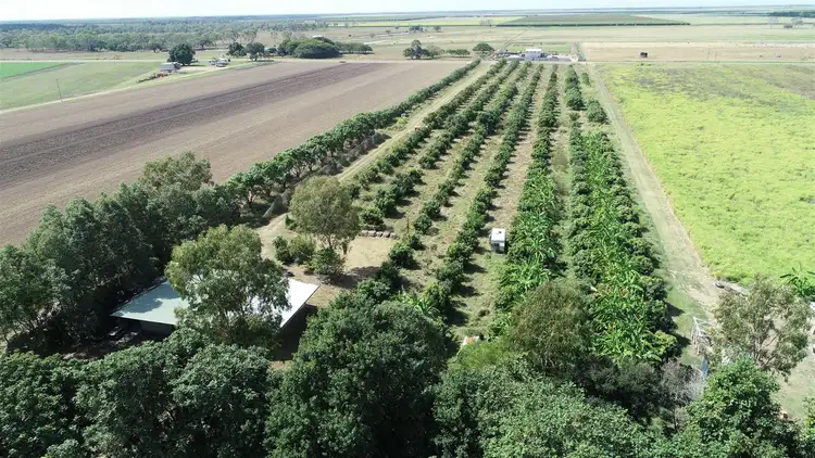 Fifth view of Homely rural property listing, 293 Hodel Road, Giru QLD 4809