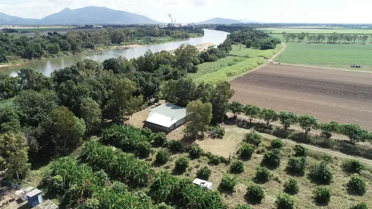 Sixth view of Homely rural property listing, 293 Hodel Road, Giru QLD 4809