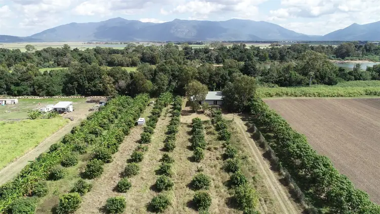 Seventh view of Homely rural property listing, 293 Hodel Road, Giru QLD 4809