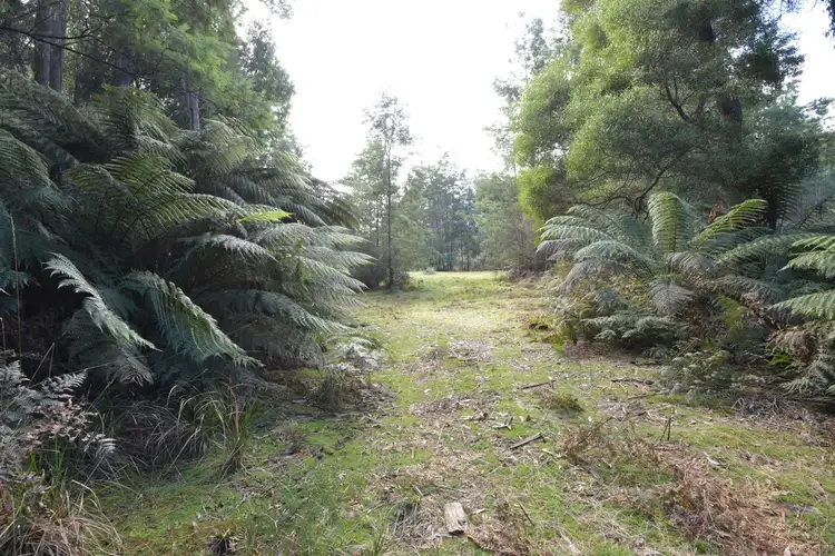 Fourth view of Homely land listing, 82 Dial Road, Penguin TAS 7316