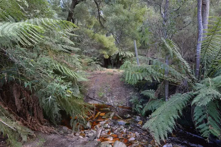 Fifth view of Homely land listing, 82 Dial Road, Penguin TAS 7316