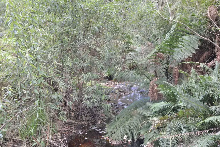 Seventh view of Homely land listing, 82 Dial Road, Penguin TAS 7316