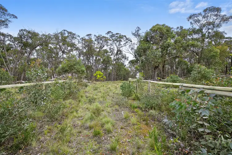Fourth view of Homely land listing, 203 Rifle Butts Road, Beaufort VIC 3373